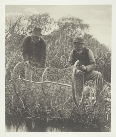 Configurar a rede de arcos de Peter Henry Emerson