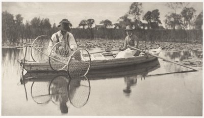 Montar a rede de arco de Peter Henry Emerson