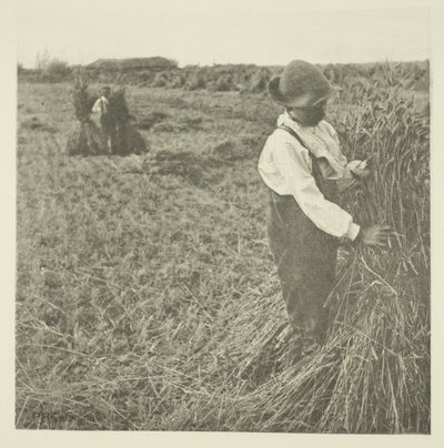Milho Chocante (Norfolk) de Peter Henry Emerson
