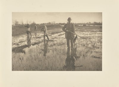  de Peter Henry Emerson