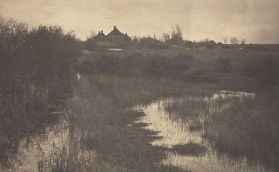A orla do pântano de Peter Henry Emerson