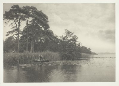 A Maldição do Pique de Peter Henry Emerson