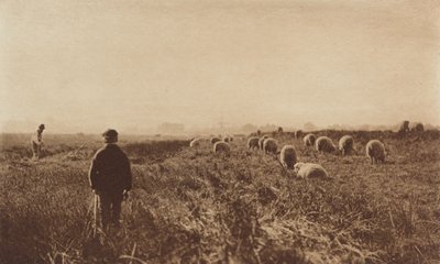 Os pântanos em junho de Peter Henry Emerson