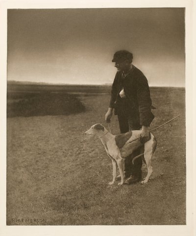 The Poacher - A Hare in View de Peter Henry Emerson