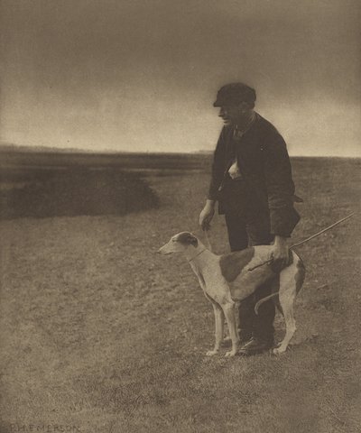 O caçador furtivo - Uma lebre à vista. [Suffolk.] de Peter Henry Emerson