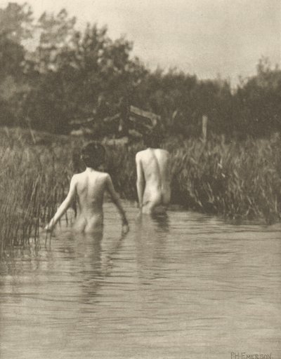 Bebés de água de Peter Henry Emerson