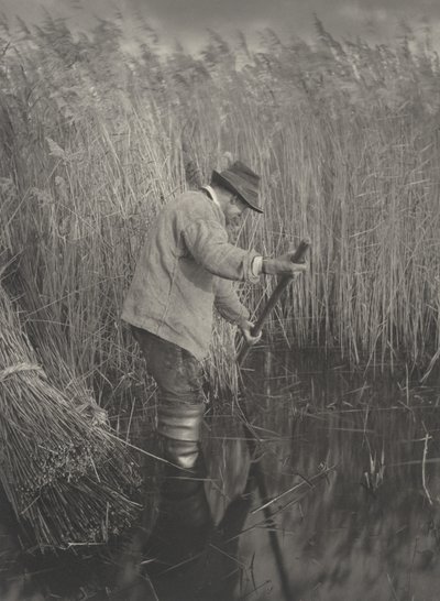 Um cortador de junco no trabalho de Peter Henry Emerson and T.F. Goodall