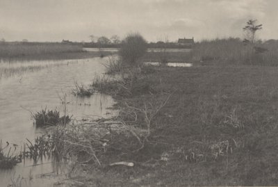 Uma manhã de outono de Peter Henry Emerson and T.F. Goodall