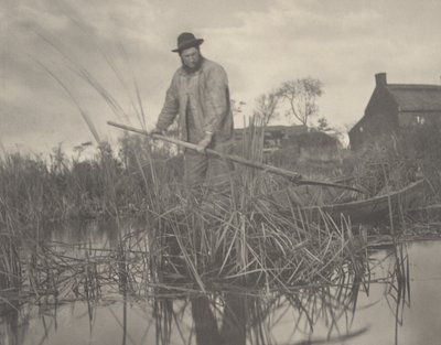 Cortando o Gladdon de Peter Henry Emerson and T.F. Goodall