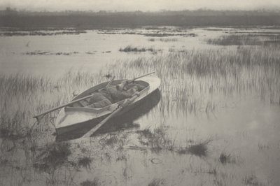 Artilheiro trabalhando para Fowl de Peter Henry Emerson and T.F. Goodall
