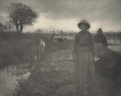 Poling o feno do pântano de Peter Henry Emerson and T.F. Goodall