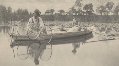 Configurando o Bow-Net de Peter Henry Emerson and T.F. Goodall