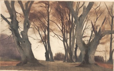 Faias em Ermelunden de Peter Vilhelm Ilsted