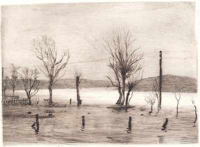 Lote da floresta de Peter Vilhelm Ilsted