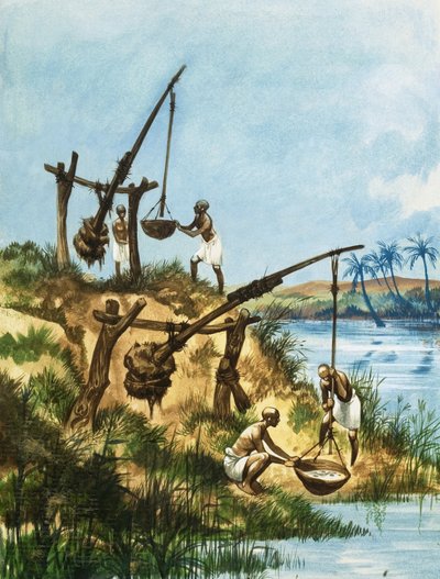 Primeiros egípcios usando um sistema de pesos e postes chamados shadoofs para obter água do Nilo de Peter Jackson
