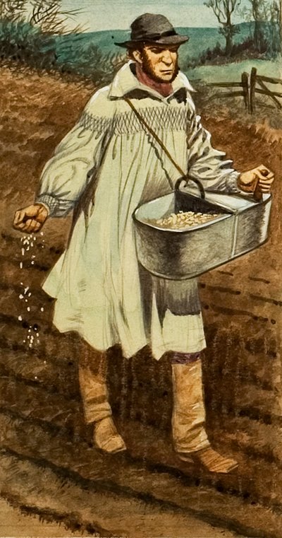 Semeadura de Peter Jackson