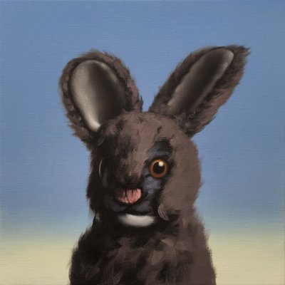 Coelhinho, 2017 de Peter Jones