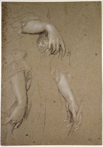 Estudos das Mãos, século XVII (giz sobre papel) de Peter Lely