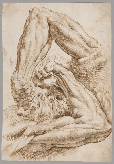 Uma folha de estudos anatômicos de Peter Paul Rubens
