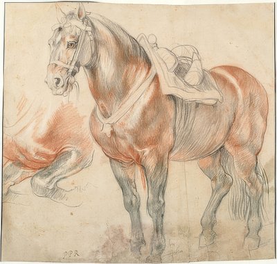 Cavalo selado. Por volta de 1615-18 de Peter Paul Rubens