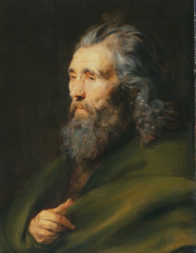 Estudo da Cabeça de um Homem de Barba, c.1617 de Peter Paul Rubens