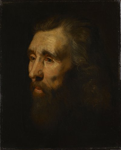 Cabeça de homem barbudo de Peter Paul Rubens