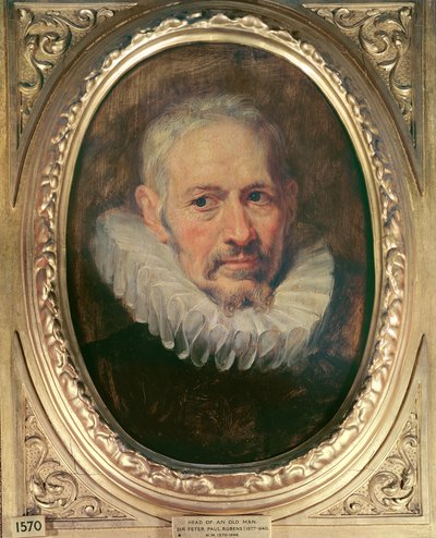 Cabeça de um homem velho (óleo em canavos) de Peter Paul Rubens