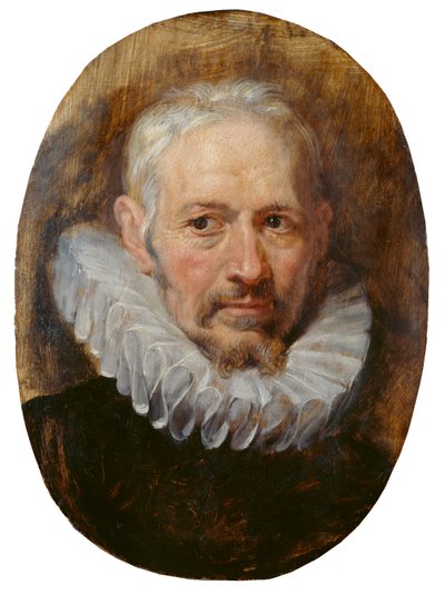 Cabeça de um homem velho (óleo sobre painel) de Peter Paul Rubens