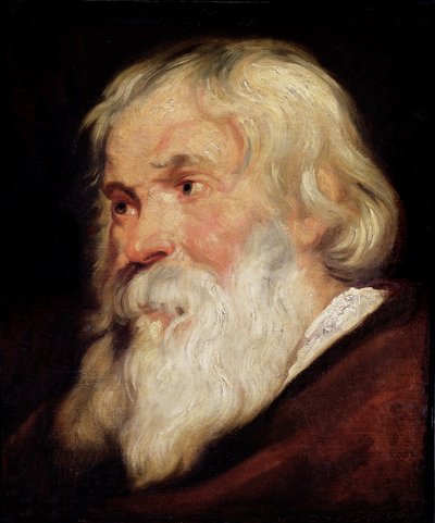 Cabeça de um homem velho de Peter Paul Rubens