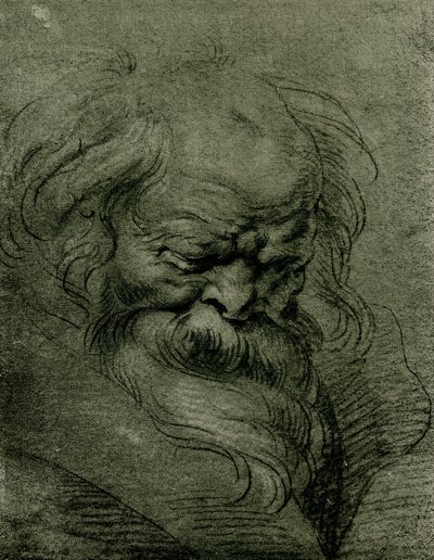Estudo da cabeça para Baco de Peter Paul Rubens