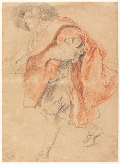 Um jovem a descer um lance de escadas de Peter Paul Rubens