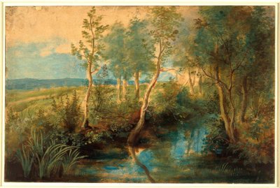 Paisagem com fluxo suspenso com árvores de Peter Paul Rubens