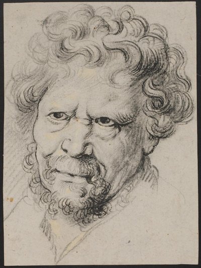 Cabeça de homem de Peter Paul Rubens