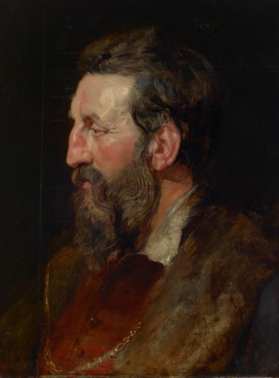 Retrato de um homem de Peter Paul Rubens