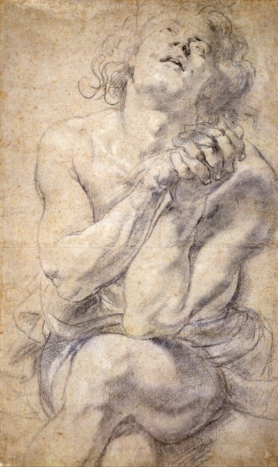 Juventude Masculina Sentada (Estudo para Daniel) de Peter Paul Rubens