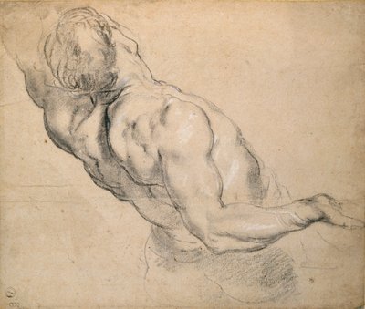 Estudo de um tronco masculino nu, 1600-1640 de Peter Paul Rubens