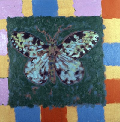 Traça-leopardo de Peter Wilson