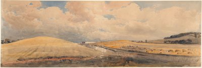 Campos de trigo perto da estação de Tring, Hertfordshire de Peter de Wint