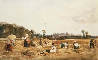PD.129-1950 Cornfield, Windsor de Peter de Wint