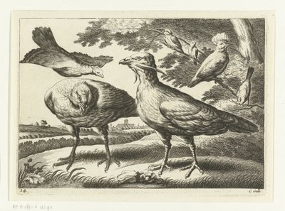 Abetardas e uma cacatua
Diversarum avium species (título da série)
Várias aves (título da série) de Peter van Liesebetten