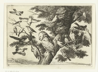 Pássaros numa árvore
Diversarum avium species (título da série)
Várias aves (título da série) de Peter van Liesebetten