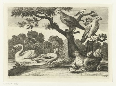 Cisne, frango com pintinhos e outros pássaros Espécies Diverversarum avium (título da série) Pássaros diferentes (título da série) de Peter van Liesebetten