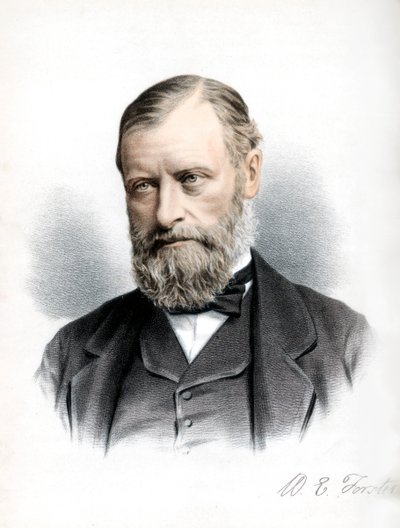 William Edward Forster, político liberal britânico, c1890. de Petter and Galpin Cassell