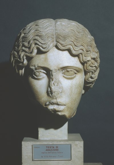cabeça da Amazônia de Phidias Phidias