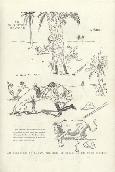 Um androcles de hoje, o rei dos animais em suas verdadeiras cores de Phil May