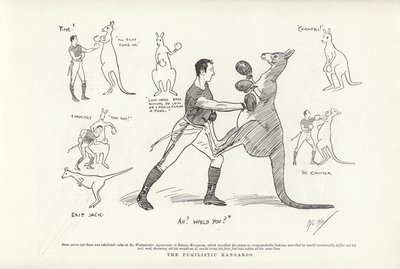 O Canguru Pugilista de Phil May