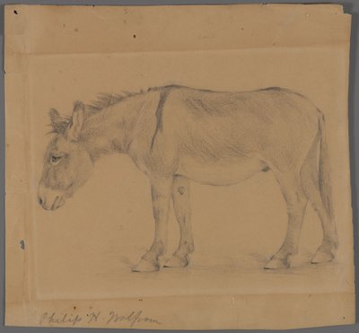 Burro (grafite no papel) de Philip H. Wolfrom