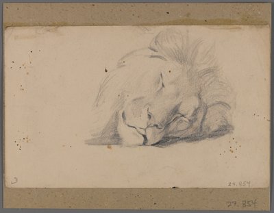 Cabeça de um leão adormecido (grafite em papel afixada no tapete de janela) de Philip H. Wolfrom