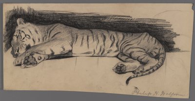 Tigre Adormecido (carvão sobre papel) de Philip H. Wolfrom