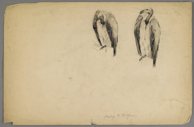 Abutres (carvão sobre papel) de Philip H. Wolfrom